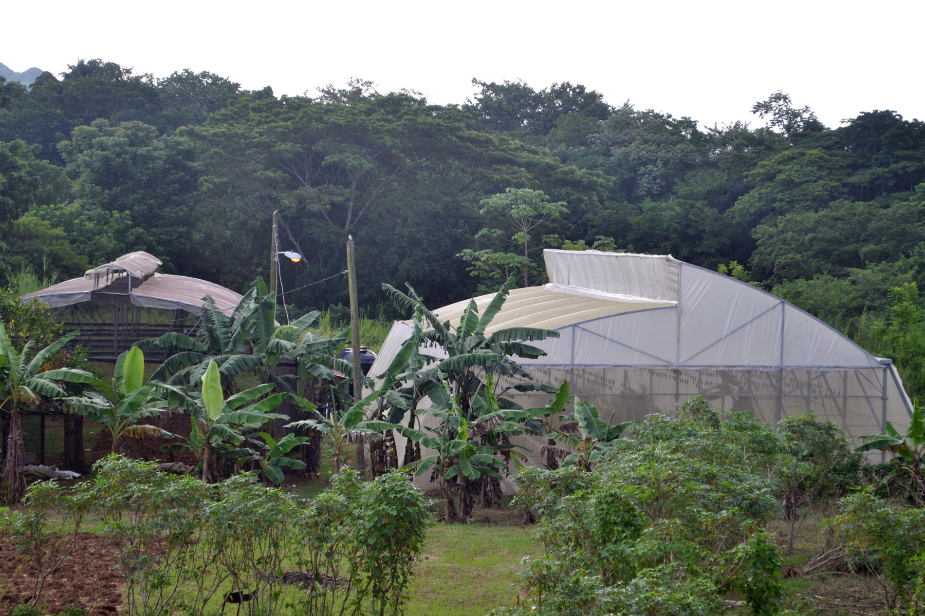 Agro Educational Facility